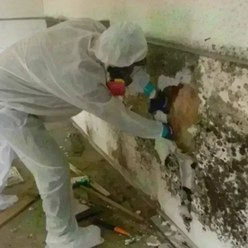 Mold Remediation and Removal in Newtown, CT